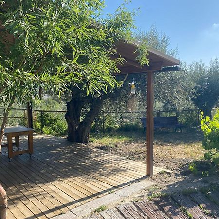 Casaruibella Villa Moratalla  Buitenkant foto