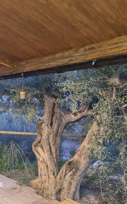 Casaruibella Villa Moratalla  Buitenkant foto