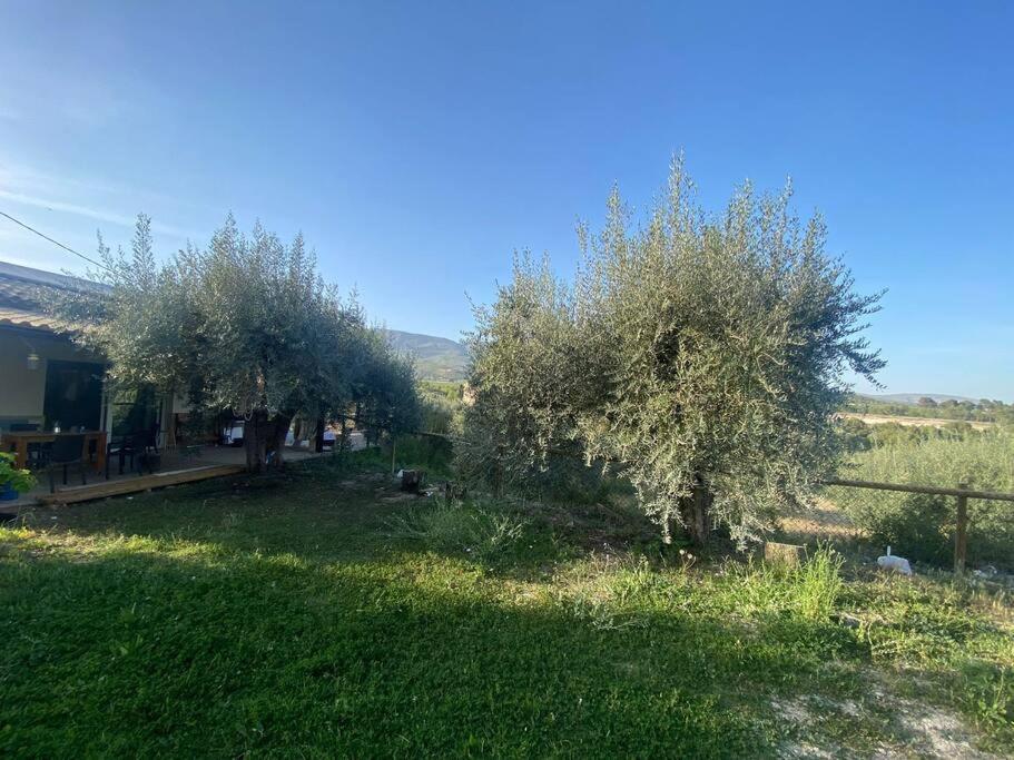 Casaruibella Villa Moratalla  Buitenkant foto