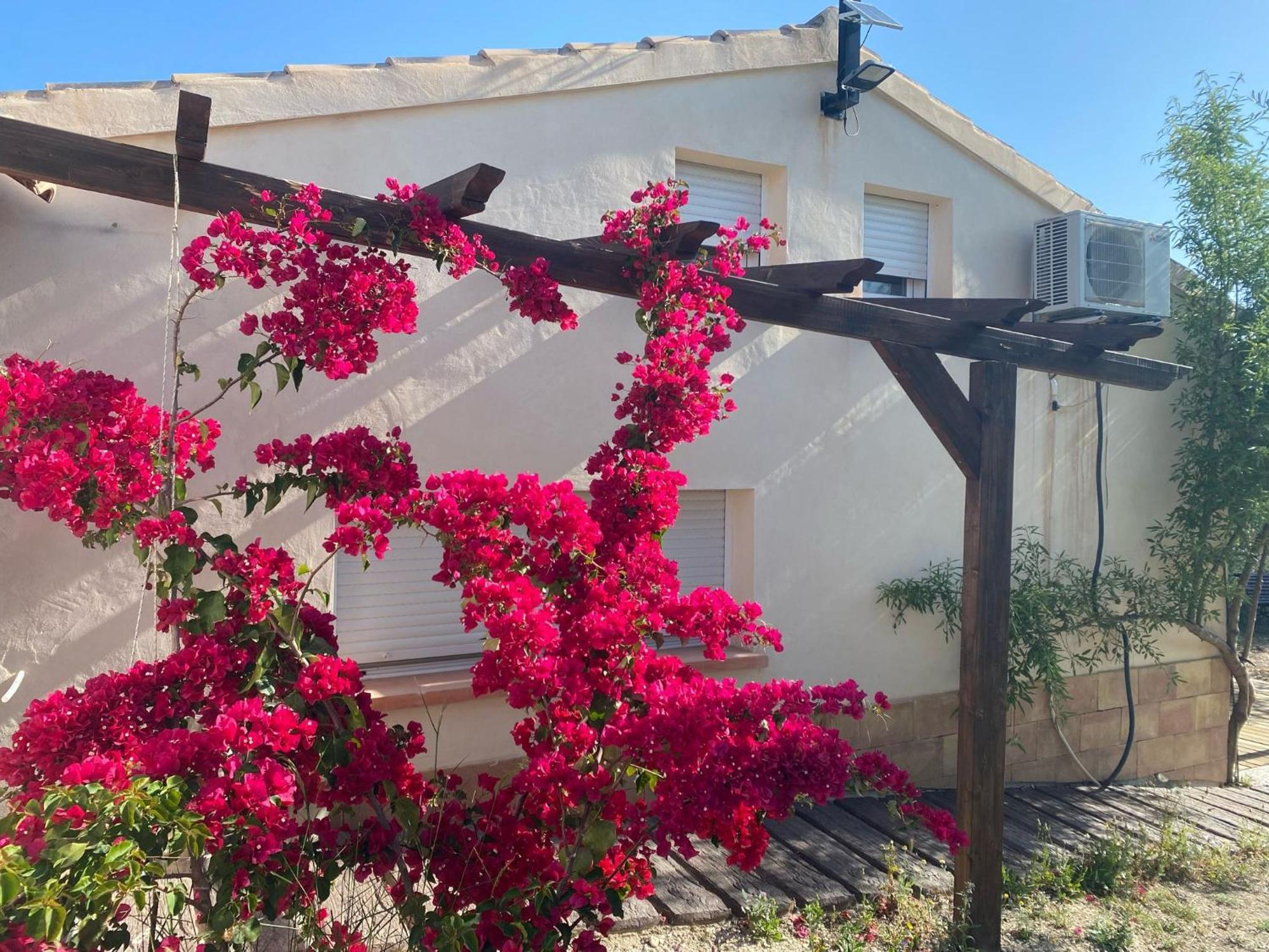 Casaruibella Villa Moratalla  Buitenkant foto