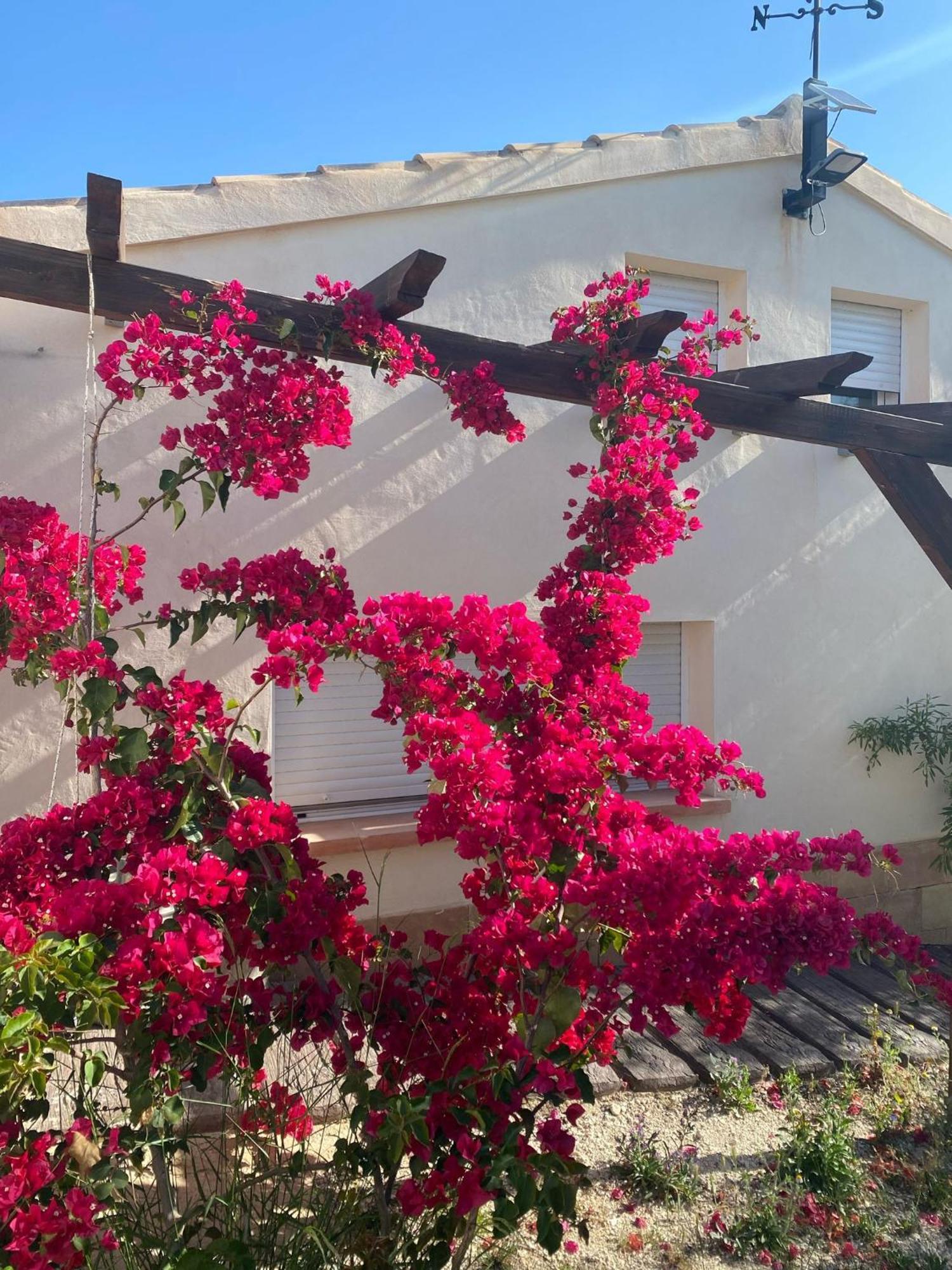 Casaruibella Villa Moratalla  Buitenkant foto